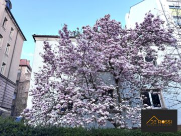 IN DIESER WOHNUNG LEBEN SIE AUF 180 QM, 90408 Nürnberg, Etagenwohnung