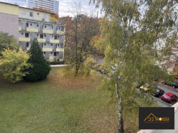 FRISCH RENOVIERT – 1-ZIMMER APPARTEMENT – BEZUGSFERTIG, 90473 Nürnberg, Etagenwohnung